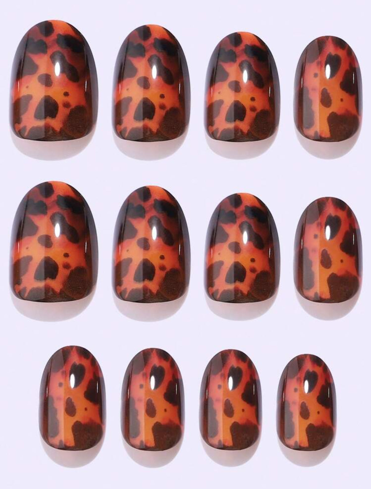 24pc round nails in classic amber tortoise shell design - Press-on Express