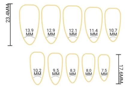24Pc Almond Nails Set in Black and White with Snake & Leaf Designs - Press-on Express